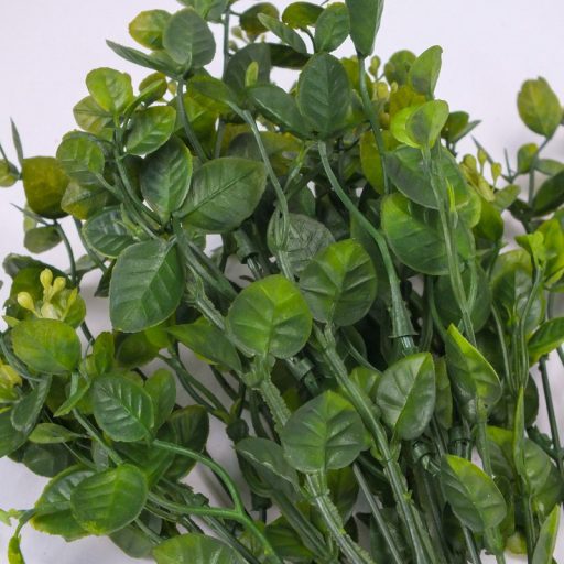 Bogyós buxus csokor zöld – virágdekorációhoz, koszorúhoz