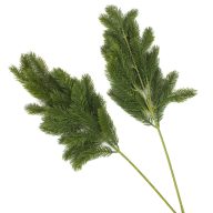 Dekorációs fenyőág 2db/cs – virágdekorációhoz, koszorúhoz