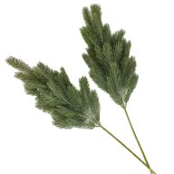 Dekorációs hamvas fenyőág 2db/cs – virágdekorációhoz, koszorúhoz