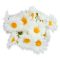 Margaréta virágfej 4cm 20db/csomag