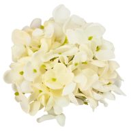 Hortenzia virágfej 10cm fehér – virágdekorációhoz, koszorúhoz