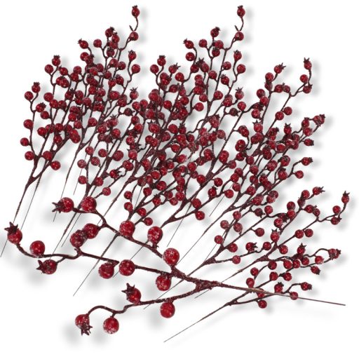 Havas csipkebogyó ág 20db/csomag 150/# – virágdekorációhoz, koszorúhoz