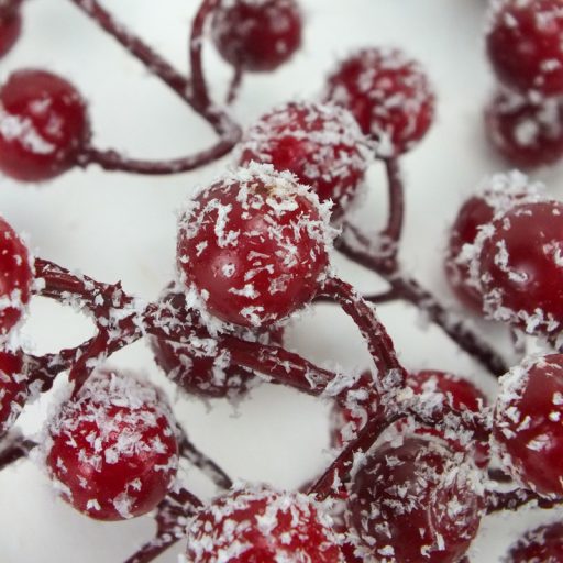  Havas piros bogyós ág 50db/csomag 72/# – virágdekorációhoz, koszorúhoz