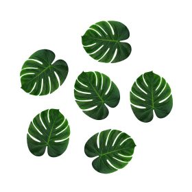 Szár nélküli óriás filodendron levél 12db/csomag