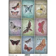 Rizspapír A4 – decoupage technikához – Rizspapírok, kartonok, egyéb papírok #R0537