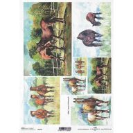 Rizspapír A4 – decoupage technikához – Rizspapírok, kartonok, egyéb papírok #R1217