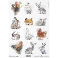 Rizspapír A4 – decoupage technikához – Rizspapírok, kartonok, egyéb papírok #R1686