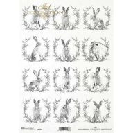 Rizspapír A4 – decoupage technikához – Rizspapírok, kartonok, egyéb papírok #R2015