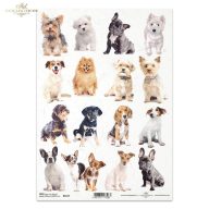 Rizspapír A4 – decoupage technikához – Rizspapírok, kartonok, egyéb papírok #R2147