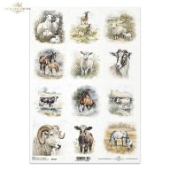 Rizspapír A4 – decoupage technikához – Rizspapírok, kartonok, egyéb papírok #R2348