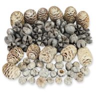 Havas harmónia terméscsomag – őszi dekorációhoz – Szezonok, alkalmak