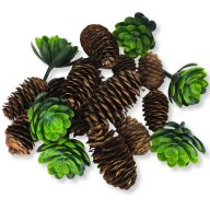 Erdei frisseség terméscsomag – őszi dekorációhoz – Szezonok, alkalmak