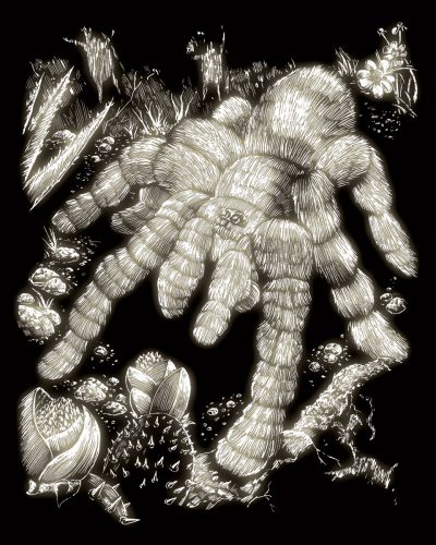 Képkarcoló készlet karctűvel - 20x25 cm - Világítós - Tarantula