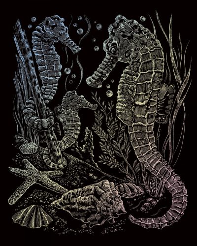 Képkarcoló készlet karctűvel - 20x25 cm - Holografikus - Tengeri csikó