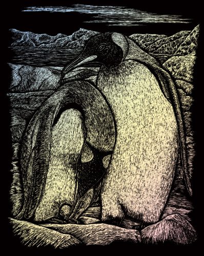 Képkarcoló készlet karctűvel - 20x25 cm - Holografikus - Pingvin