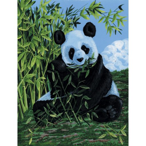 Kifestő készlet vászonra, akrilfestékkel, ecsettel, gyerekeknek 8 éves kortól - 23x30 cm - Panda