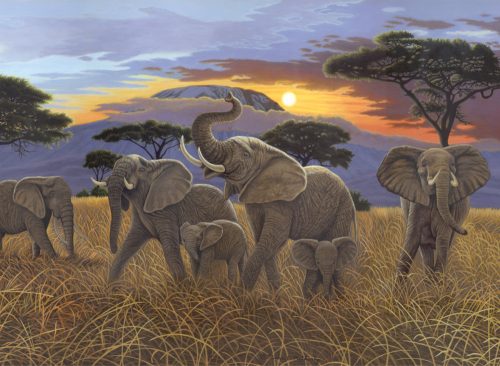 Kifestő készlet akrilfestékkel, ecsettel, gyerekeknek 11 éves kortól - 30x40 cm - Kilimanjaro