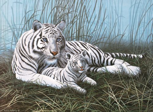 Kifestő készlet akrilfestékkel, ecsettel, gyerekeknek 11 éves kortól - 30x40 cm - Fehér tigris a ködben