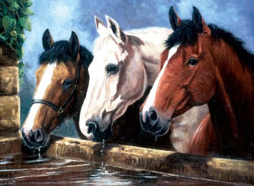 Kifestő készlet akrilfestékkel, ecsettel, gyerekeknek 11 éves kortól - 30x40 cm - Három ló az itatónál