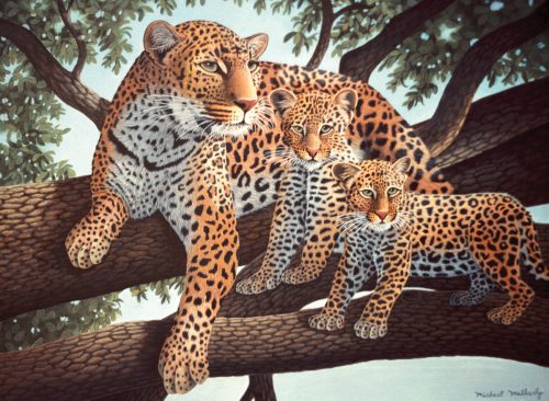 Kifestő készlet akrilfestékkel, ecsettel, gyerekeknek 11 éves kortól - 30x40 cm - Afrikai leopard