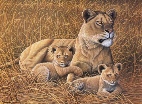 Kifestő készlet akrilfestékkel, ecsettel, gyerekeknek 11 éves kortól - 30x40 cm - Afrikai oroszlán