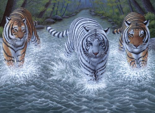 Kifestő készlet akrilfestékkel, ecsettel, gyerekeknek 11 éves kortól - 30x40 cm - Három tigris