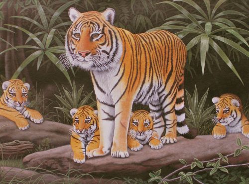 Kifestő készlet akrilfestékkel, ecsettel, gyerekeknek 11 éves kortól - 30x40 cm - Tigris család