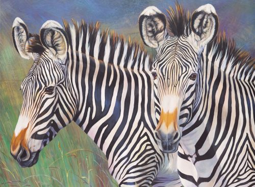 Számozott kifestő készlet akrilfestékkel, ecsettel, gyerekeknek - 30x40 cm - Számos kifestő készlet - Zebra pár