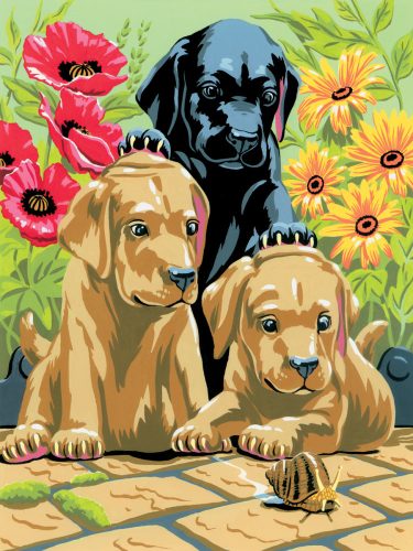 Kifestő készlet akrilfestékkel, ecsettel, gyerekeknek 8 éves kortól - 20x25 cm - Labrador kölykök
