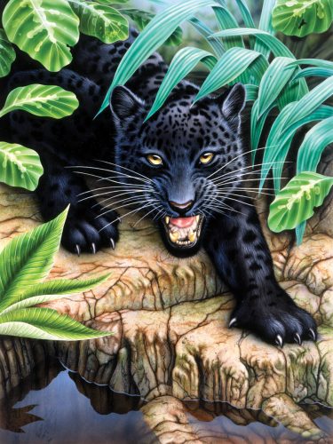 Kifestő készlet akrilfestékkel, ecsettel, gyerekeknek 8 éves kortól - 20x25 cm - Fekete leopard