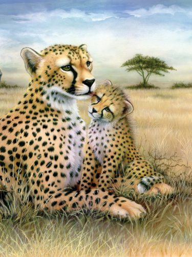 Kifestő készlet akrilfestékkel, ecsettel, gyerekeknek 8 éves kortól - 20x25 cm - Leopard