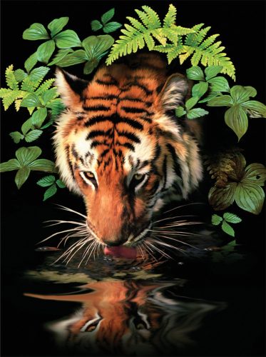 Kifestő készlet akrilfestékkel, ecsettel, gyerekeknek 8 éves kortól - 20x25 cm - Szomjas tigris