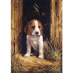   Kifestő készlet számokkal, ecsettel, gyerekeknek 8 éves kortól - 20x25 cm - Kiskutya (Beagle kölyök)