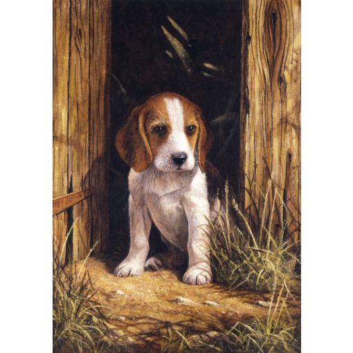 Kifestő készlet számokkal, ecsettel, gyerekeknek 8 éves kortól - 20x25 cm - Kiskutya (Beagle kölyök)