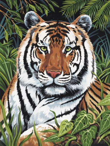 Kifestő készlet akrilfestékkel, ecsettel, gyerekeknek 8 éves kortól - 20x25 cm - Tigris a sűrűben