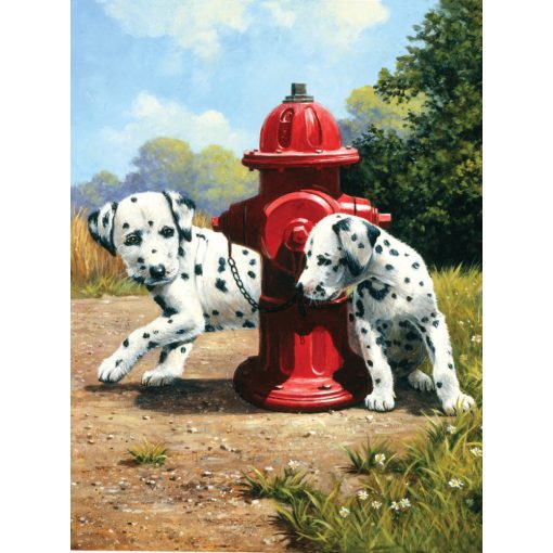 Kifestő készlet akrilfestékkel, ecsettel, gyerekeknek 8 éves kortól - 20x25 cm - Dalmata kölykök