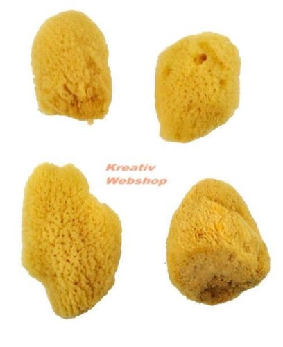 Festőszivacs - Selyem szivacskészlet, közepes méret, 4 db-os természetes tegeri szivacs készlet