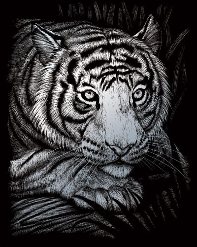 Képkarcoló készlet karctűvel - 20x25 cm - Ezüst - Fehér tigris