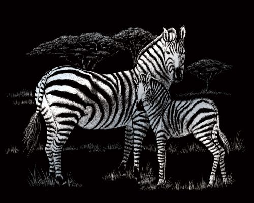 Képkarcoló készlet karctűvel - 20x25 cm - Ezüst - Zebra